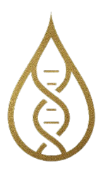 ReVyve Wellness Lounge Official Logo - Luxury IV Therapy & Anti-Aging in Lafayette, LA